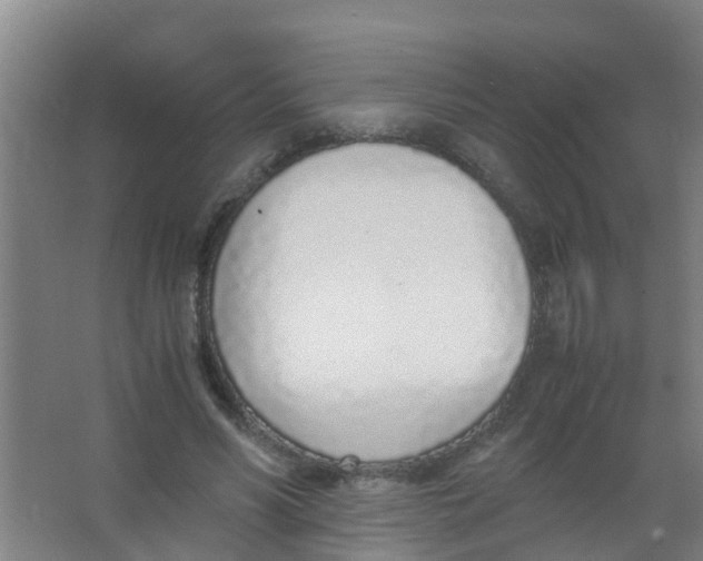 X0000067000590200604142301