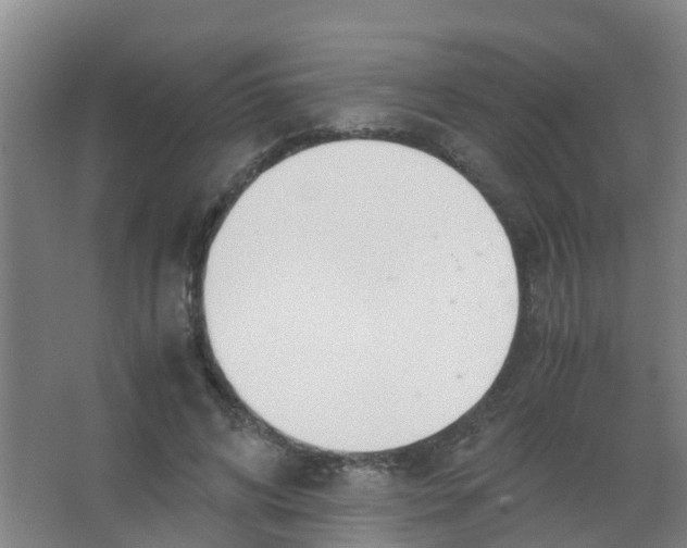 X0000067000592200604142301