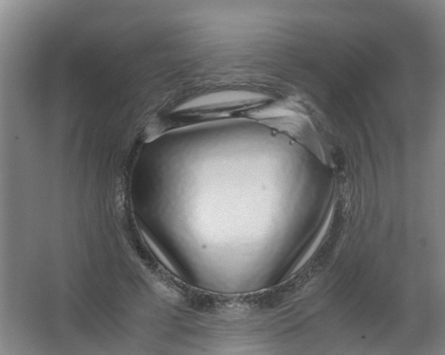 X0000067000593200604142301