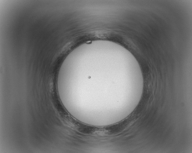 X0000067000595200604142301