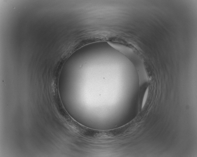 X0000067000597200604142301