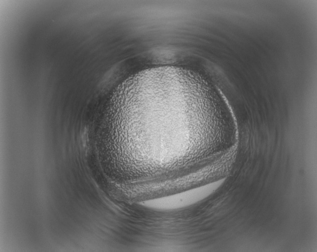 X0000067000598200604142301