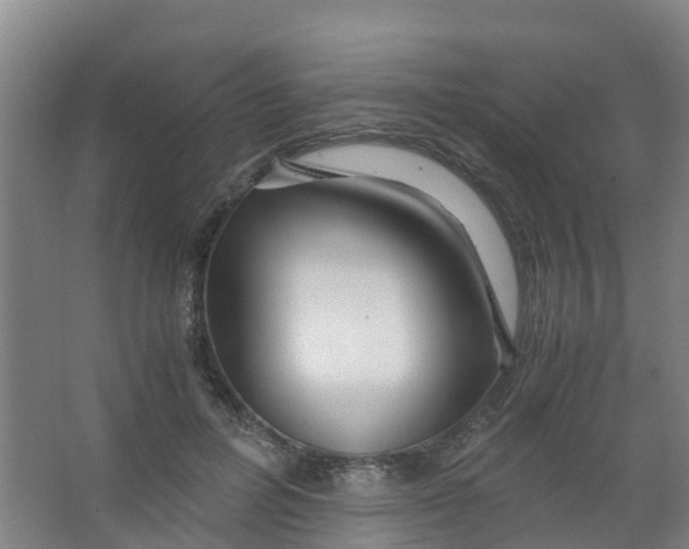 X0000067000600200604142301