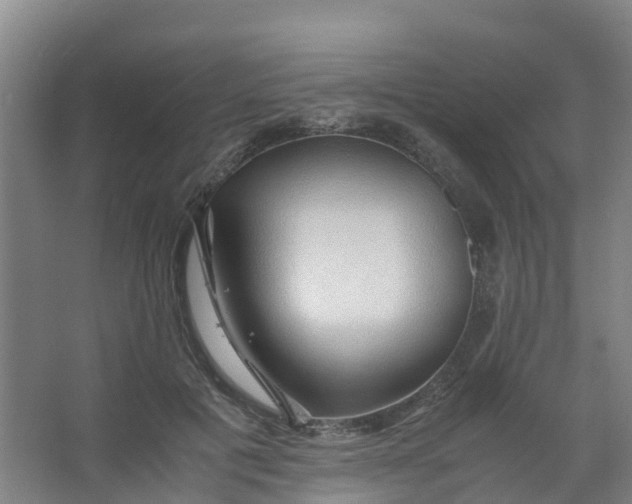 X0000067000601200604142301