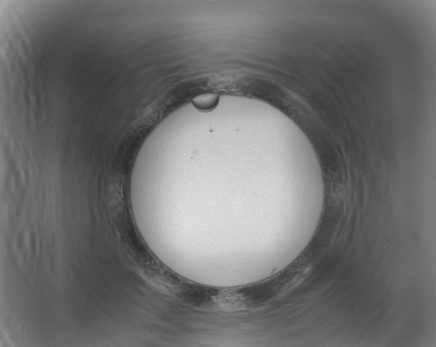 X0000067000603200604142301