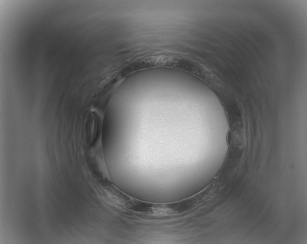 X0000067000605200604142301