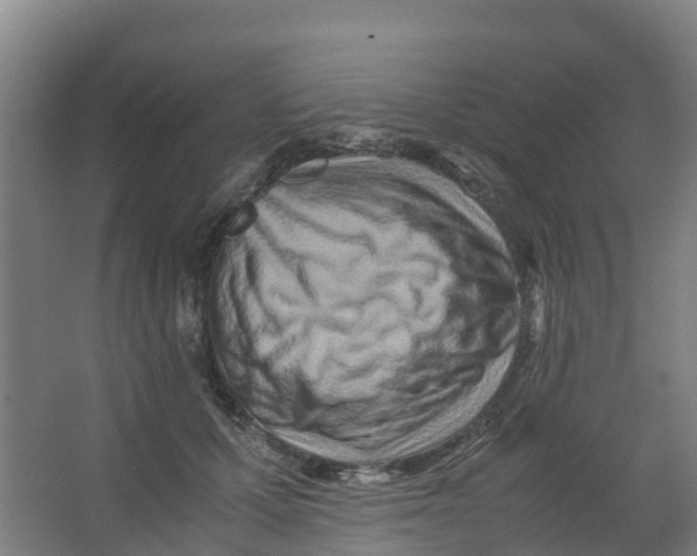 X0000067000607200604142301