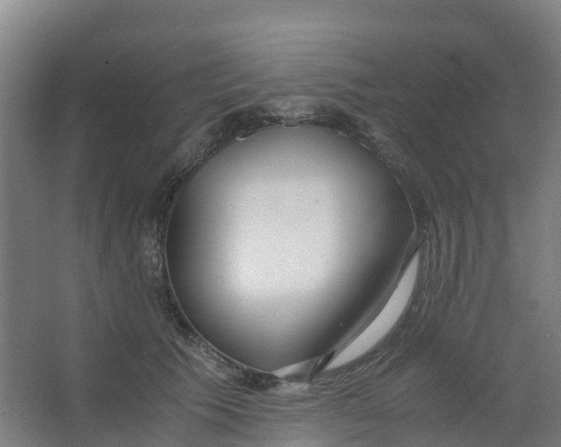 X0000067000609200604142301