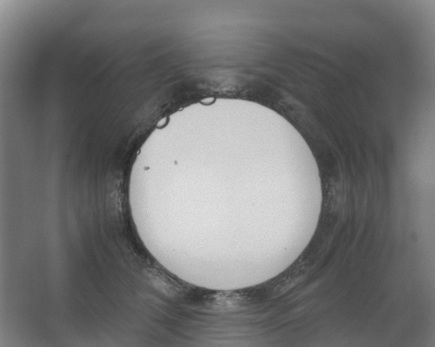 X0000067000612200604142301