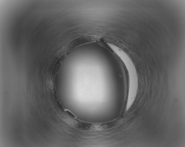 X0000067000613200604142300