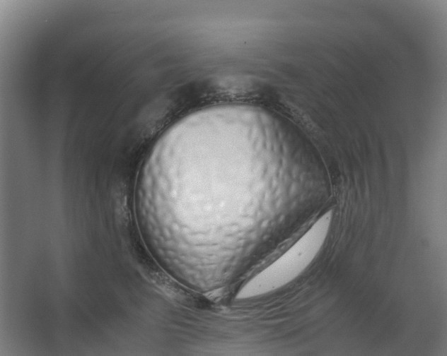 X0000067000615200604142300