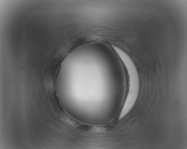 X0000067000617200604142300