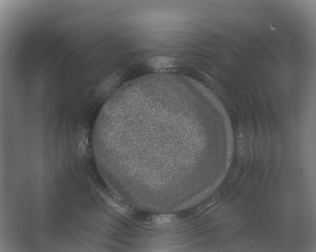 X0000067000618200604142300