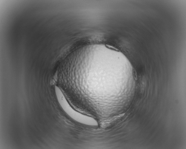 X0000067000619200604142300