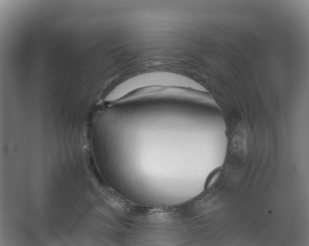 X0000067000620200604142300