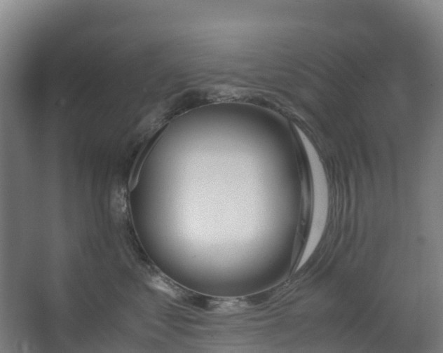 X0000067000621200604142300