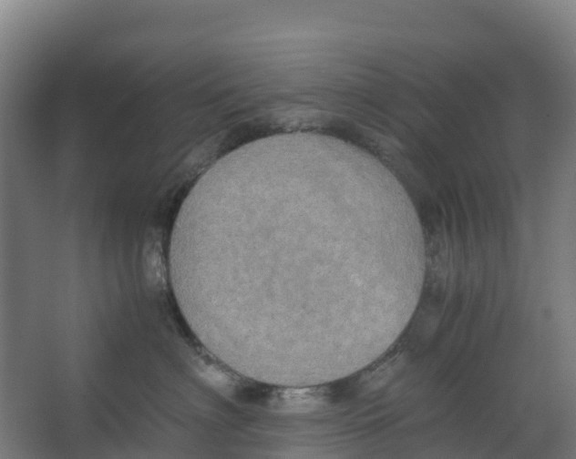 X0000067000622200604142300