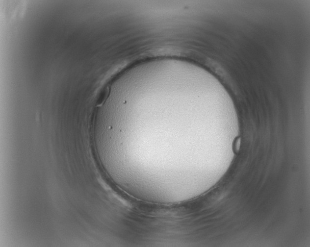 X0000067000625200604142300