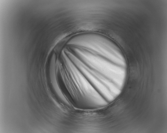 X0000067000626200604142300