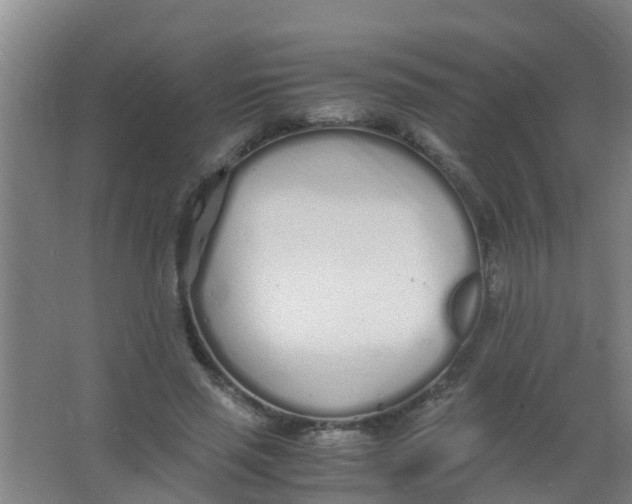 X0000067000637200604142300