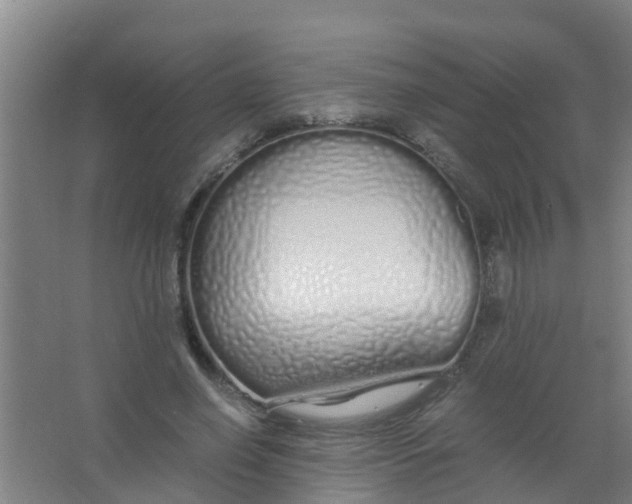 X0000067000638200604142300