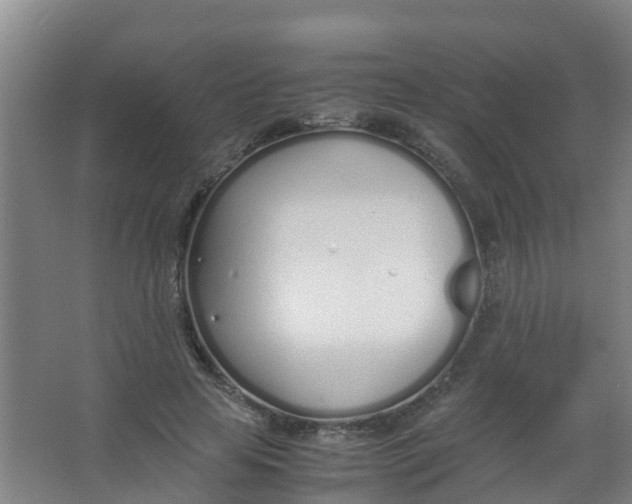 X0000067000641200604142300