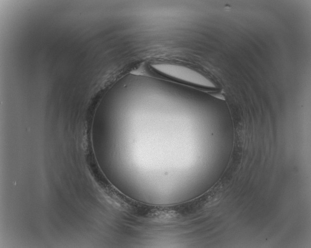 X0000067000642200604142300