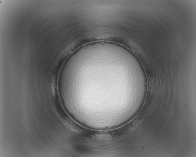 X0000067000644200604142300