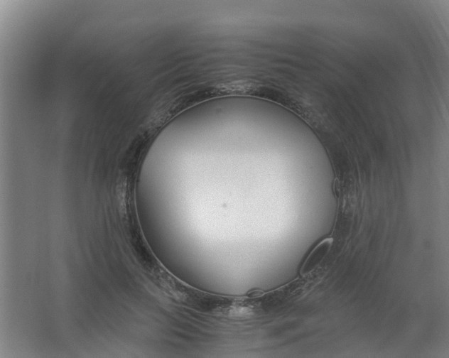 X0000067000647200604142300