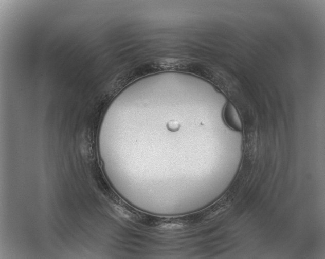 X0000067000653200604142300