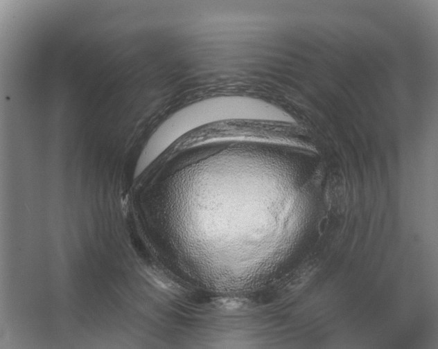 X0000067000654200604142300