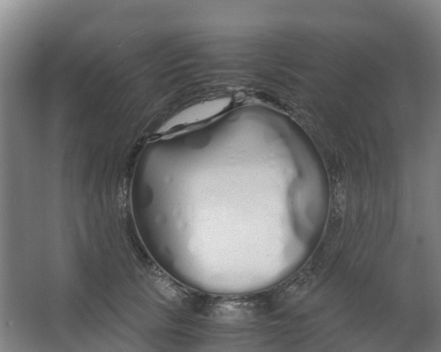 X0000067000657200604142300