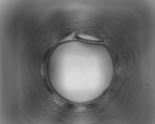 X0000067000658200604142300