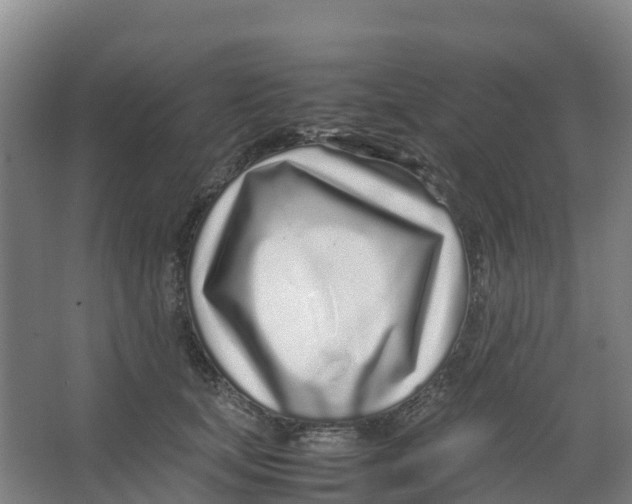 X0000067000659200604142300