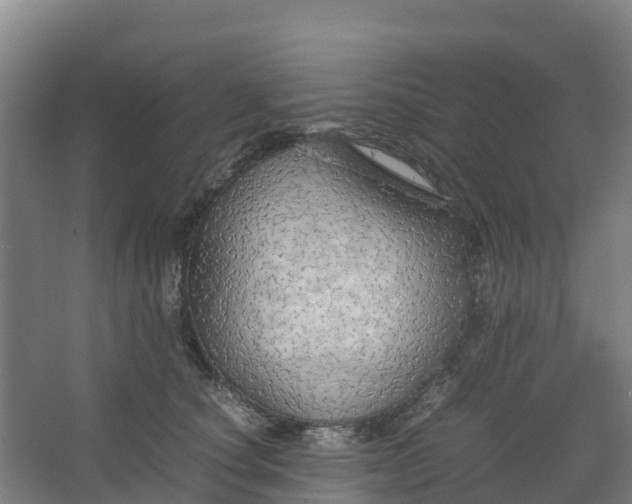 X0000067000660200604142300