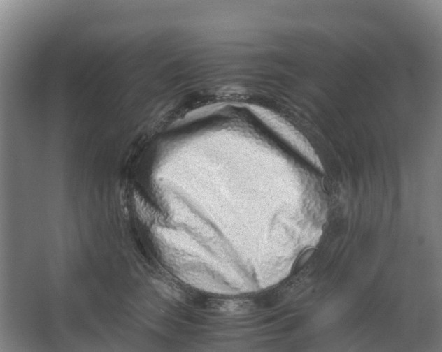 X0000067000663200604142300