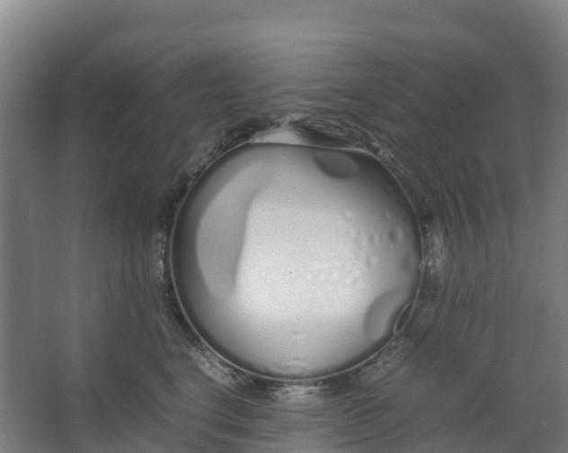 X0000067000664200604142300