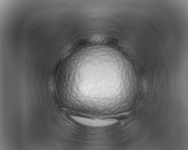 X0000067000665200604142300