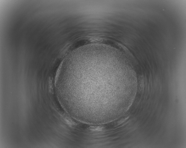 X0000067000667200604142300