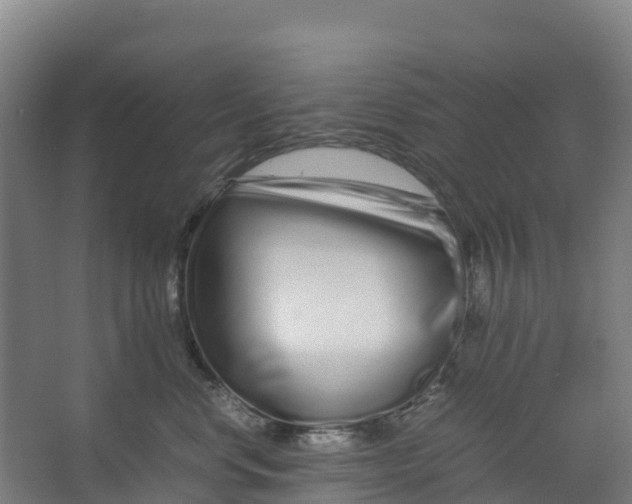 X0000067000668200604142300