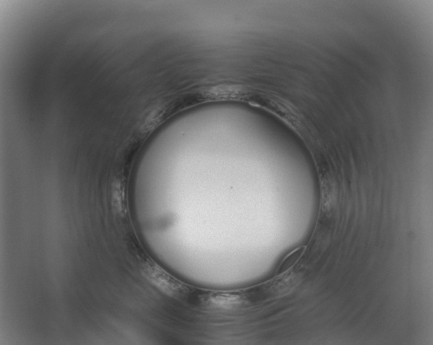 X0000067000669200604142300