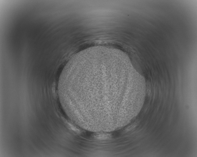 X0000067000670200604142300