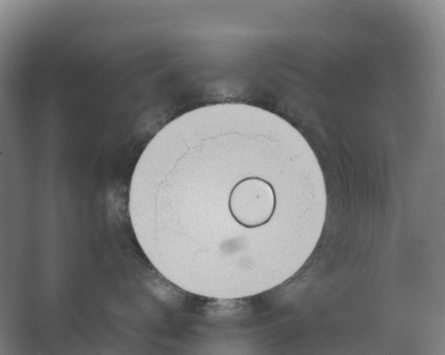 X0000067000672200604142300