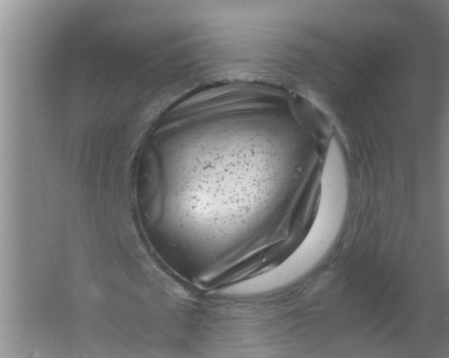 X0000067000673200604142259