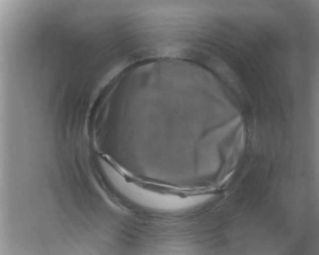 X0000067000674200604142259