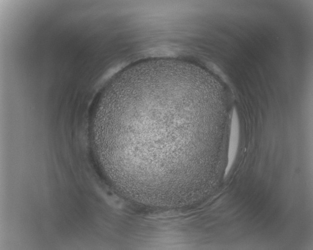 X0000067000675200604142259