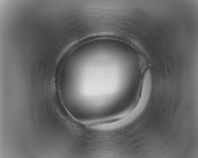 X0000067000676200604142259