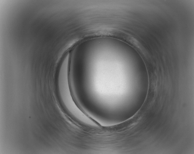 X0000067000677200604142259