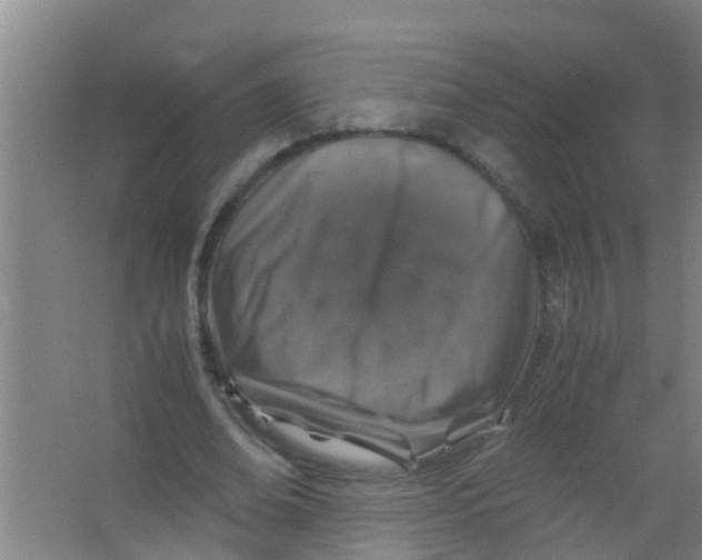 X0000067000678200604142259