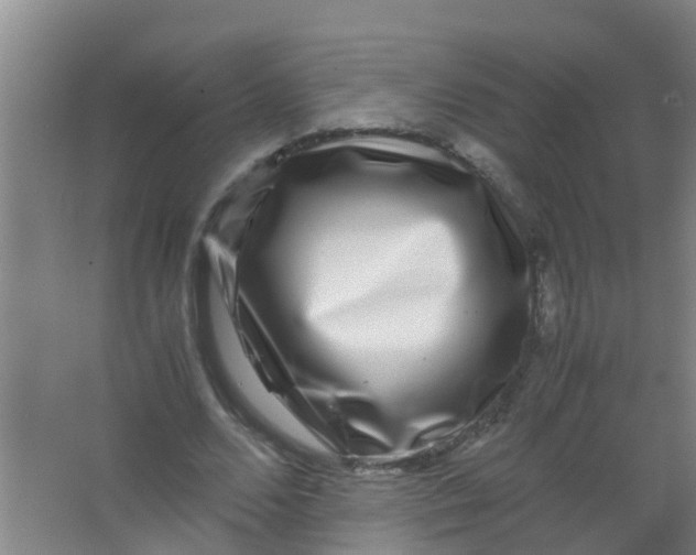 X0000067000680200604142259